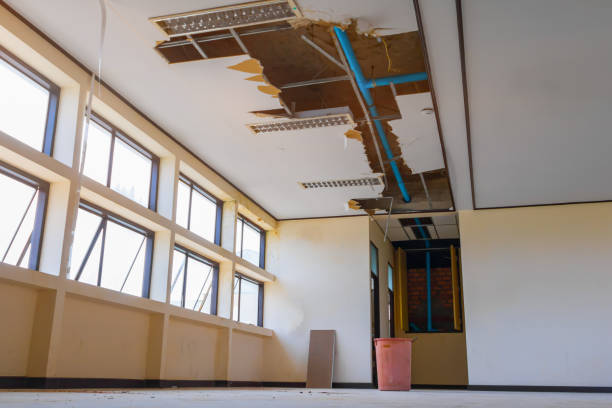 Best Water damage restoration near me  in Two Harbors, MN