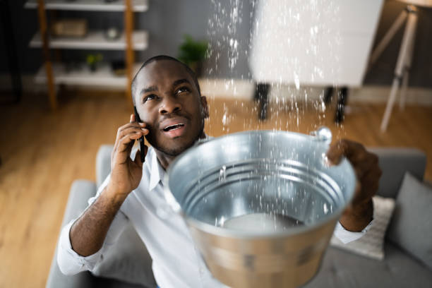 Best Sewage cleanup and water damage restoration  in Two Harbors, MN