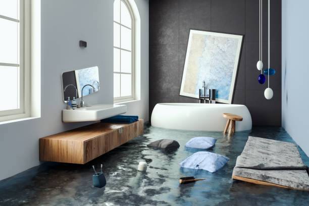 Best Ceiling water damage repair  in Two Harbors, MN