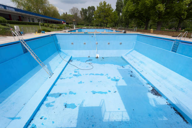 Best Flood damage cleanup  in Two Harbors, MN