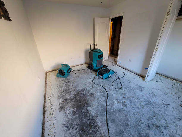 Best Residential water damage restoration  in Two Harbors, MN