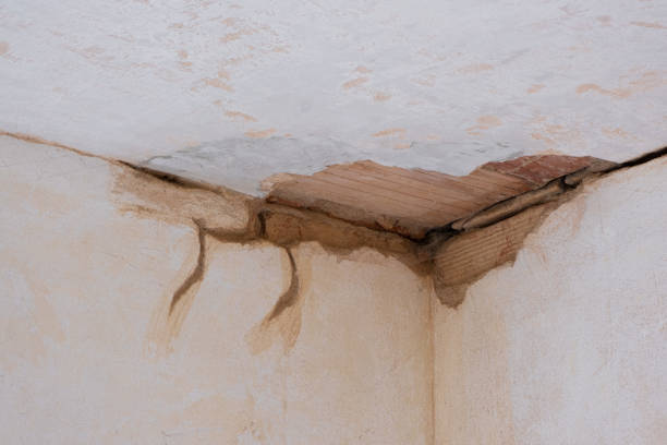 Best Water damage restoration near me  in Two Harbors, MN