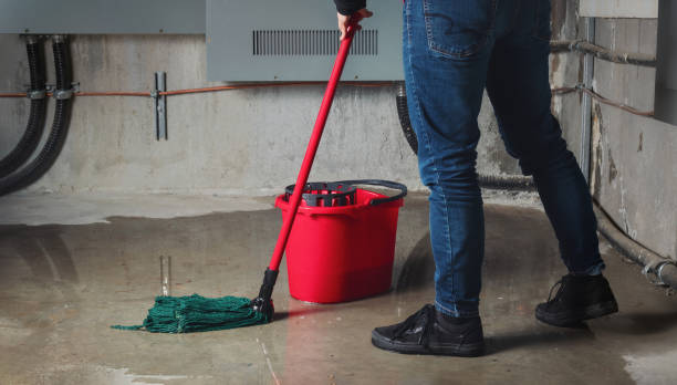 Best 24/7 water damage repair  in Two Harbors, MN