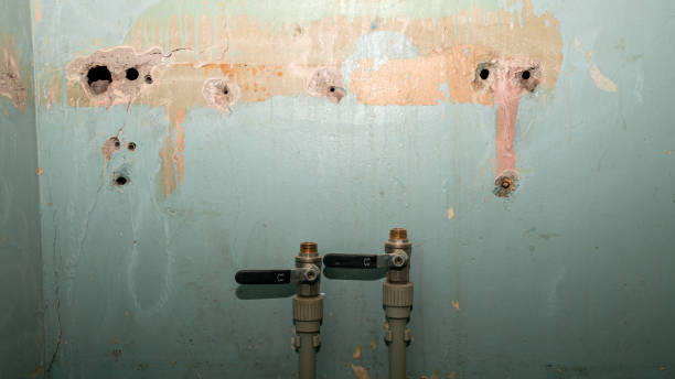 Best Mold removal after water damage  in Two Harbors, MN