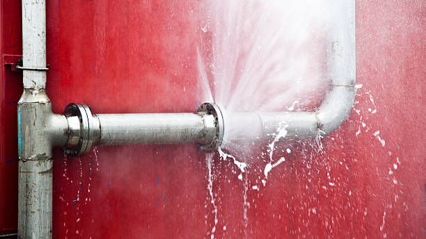 Best Flood restoration services  in Two Harbors, MN